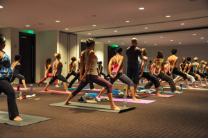 SE Yoga Conference 2013